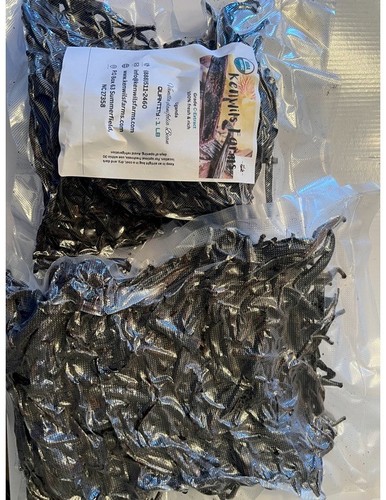 Rich vanilla beans grade - beans,, c-